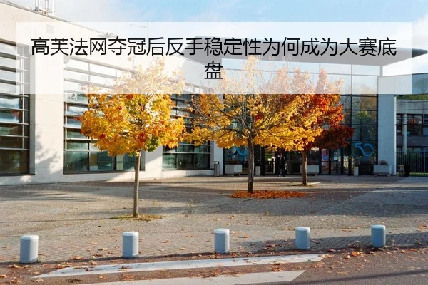 高芙法网夺冠后反手稳定性为何成为大赛底盘