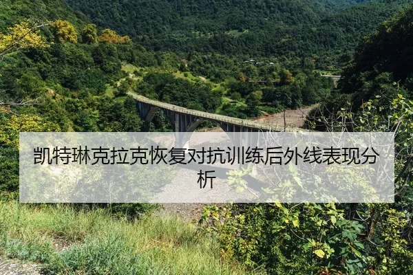 kai-te-lin-ke-la-ke-hui-fu-dui-kang-xun-lian-hou-wai-xian-biao-xian-fen-xi-2-493.jpg